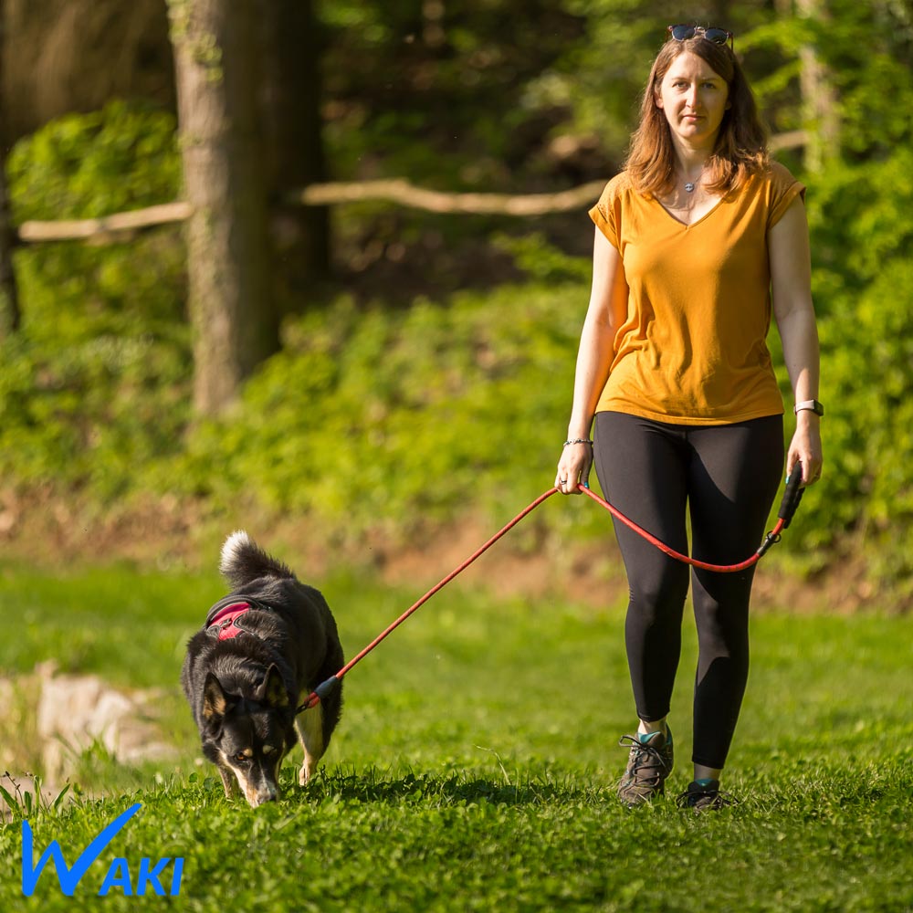 Ajoutez une touche de style à votre promenade avec nos laisses en corde de qualité supérieure pour chien.