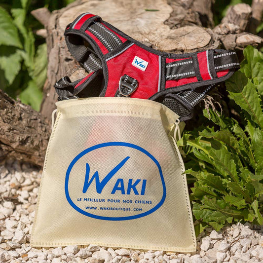 Harnais pour chien résistant à l'eau pour des promenades par tous les temps