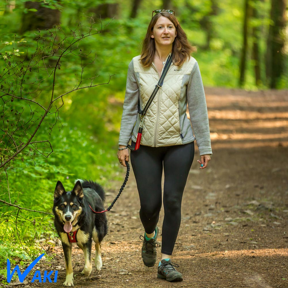 Laisse mains libres pour chien, offrant une liberté de mouvement illimitée