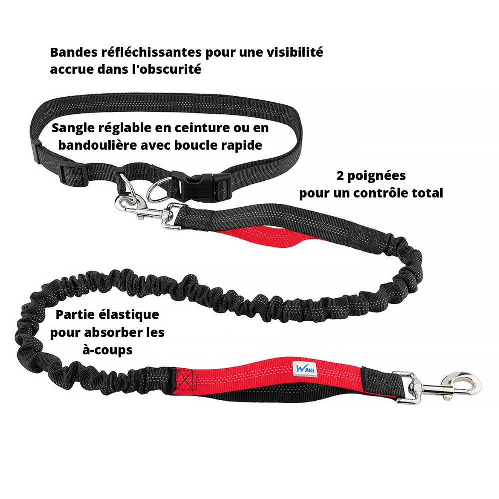 Laisse Canicross Réglable Mains Libres Pour Chien – Jusqu’à 50 Kg, élastique Absorbant – Idéale Course Et Sécurité Voiture